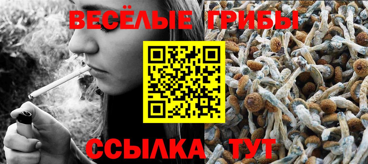 Галлюциногенные грибы Magic Shrooms  Вход с VPN  сколько стоит  Советская Гавань 