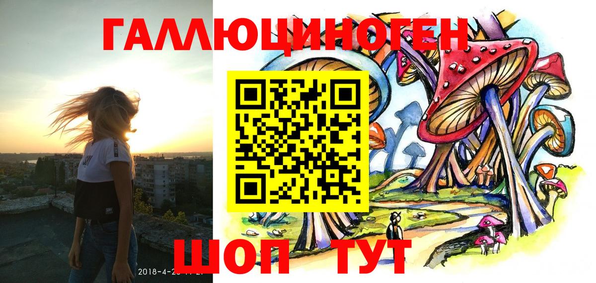 Псилоцибиновые грибы Psilocybe Советская Гавань